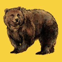 Grizzly Bear Premium Sweatshirt | Teevron