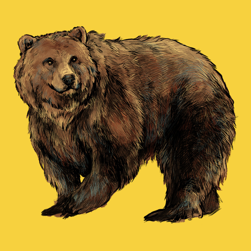 Grizzly Bear Premium Sweatshirt by HowdyJamesFarm | Teevron