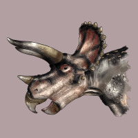 Triceratops Horridus Face Vintage Hoodie | Teevron