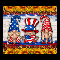 Usa Gnome Ladies Tee | Teevron