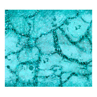 turquoise glitter | Teevron