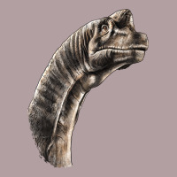 Brachiosaurus Face Vintage Hoodie | Teevron