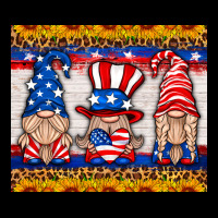 Usa Gnome Mouse Pad Ladies Tee | Teevron