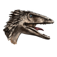 Deinonychus Face | Teevron