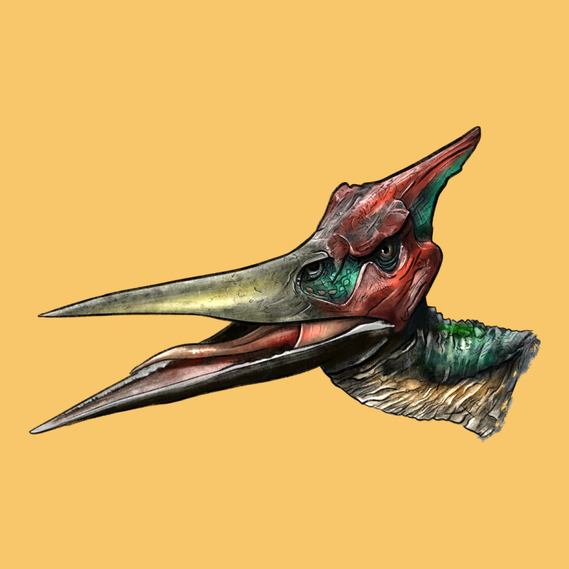 Pteranodon Face Vintage Hoodie by LillyAllenDesigns | Teevron