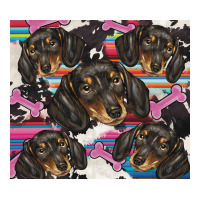 dachshund | Teevron