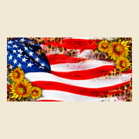 Usa Flag And Sunflower License Plate Ladies Tee | Teevron