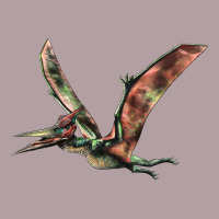 Pteranodon Vintage Hoodie | Teevron