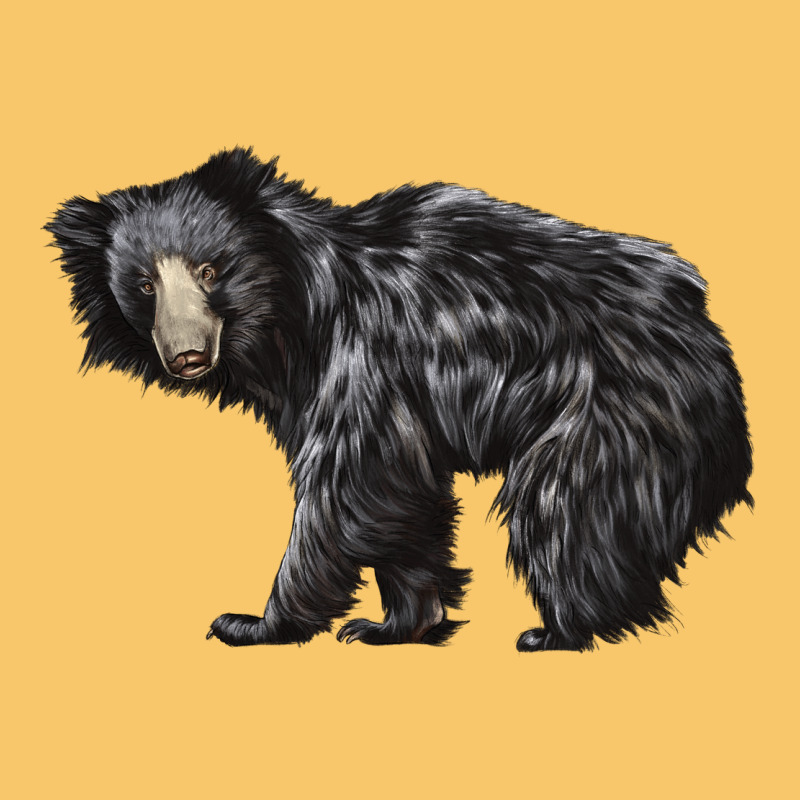 Sloth Bear Vintage Hoodie by LillyAllenDesigns | Teevron