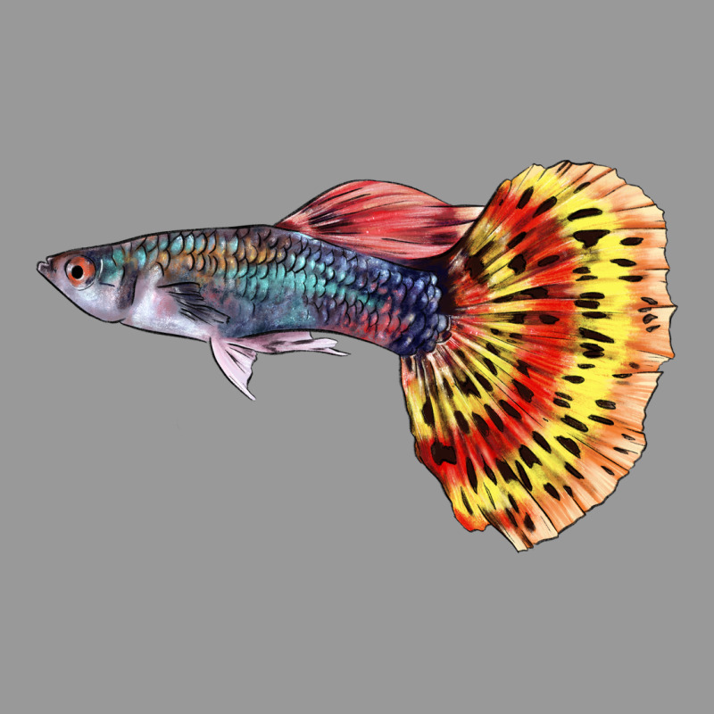 Guppy Fish Vintage Hoodie by LillyAllenDesigns | Teevron