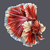 Betta Fish Vintage Hoodie | Teevron