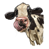 Cute Holstein Heifer | Teevron