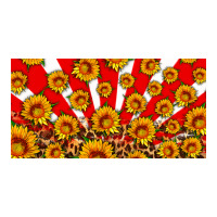 usa sunflowers leopard license plate | Teevron