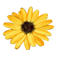 sunflower | Teevron