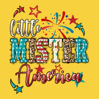 Little Mister America 4th Of July Premium Sweatshirt | Teevron