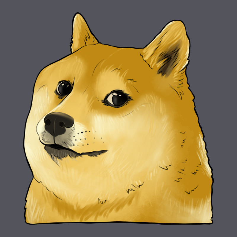 Doge Coin Shiba Dog Vintage Hoodie by Jasminsmagicworld | Teevron