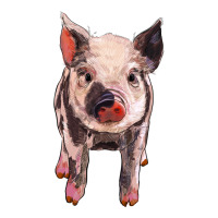 pig | Teevron