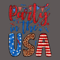 Party In The Usa Premium Hoodie | Teevron
