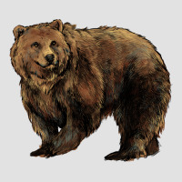 Grizzly Bear Premium Hoodie | Teevron