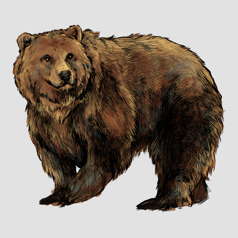 Grizzly Bear Premium Hoodie by HowdyJamesFarm | Teevron