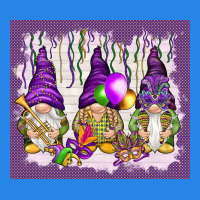 Mardi Gras Carnival With Gnomies Tumbler Premium Hoodie | Teevron