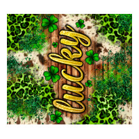 St. Patrick's Day Lucky Tumbler Ladies Tee | Teevron