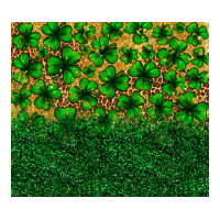 St. Patrick's Day Shamrock Leopard  Tumbler Ladies Tee | Teevron