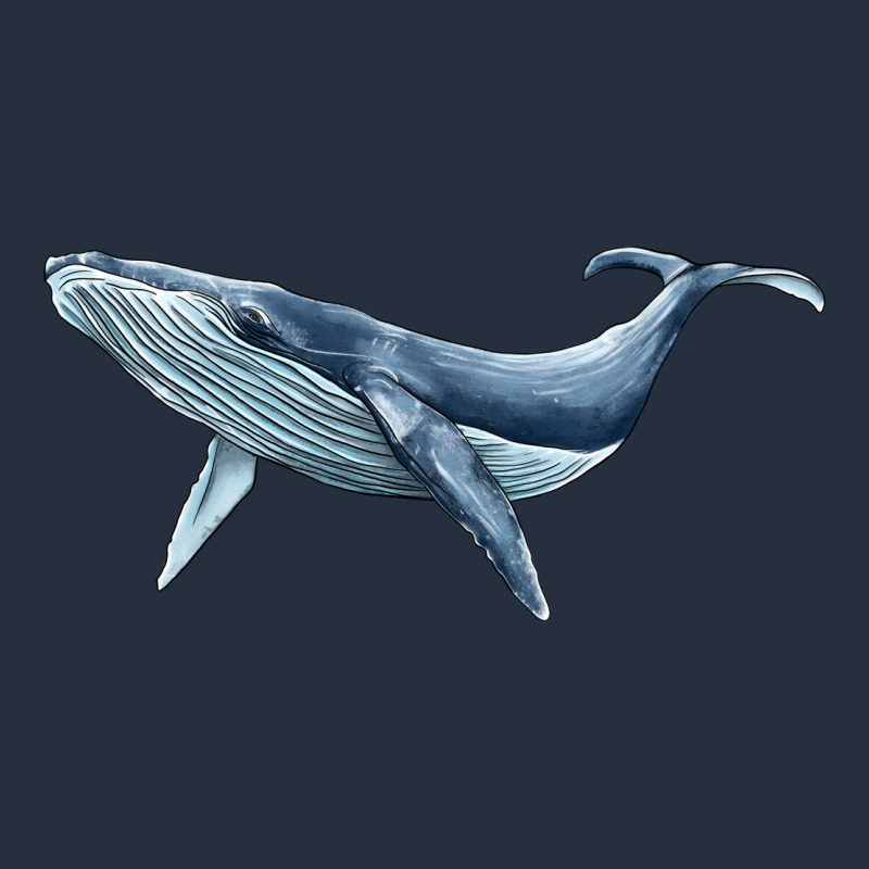 Humpback Whale Zipper Hoodie by BarkalooDesign | Teevron