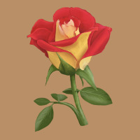 Ketchup And Mustard Rose Vintage Hoodie | Teevron