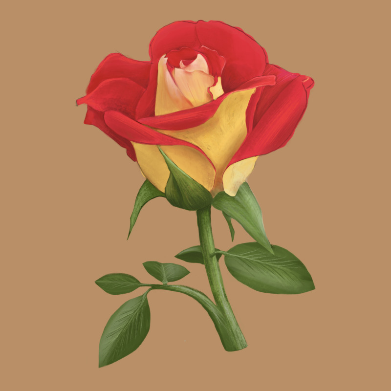 Ketchup And Mustard Rose Vintage Hoodie by LillyAllenDesigns | Teevron