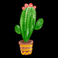 Mexican Cactus Ladies Tee | Teevron