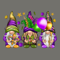 Mardi Gras Gnomies With Elements Premium Hoodie | Teevron