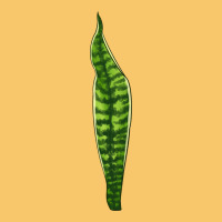 Snake Plant Vintage Hoodie | Teevron
