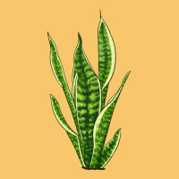 Snake Plant Vintage Hoodie | Teevron