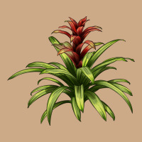 Bromeliads Vintage Hoodie | Teevron