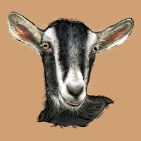 Alpine Goat Head Vintage Tee | Teevron