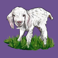 Baby Angora Goat Vintage Tee | Teevron