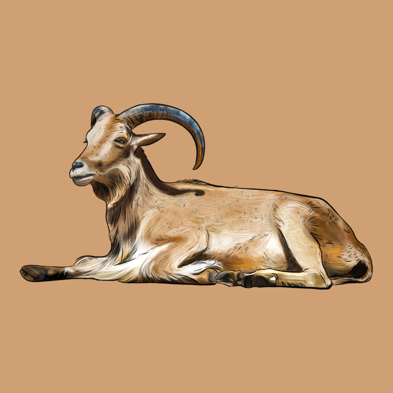Spanish Goat Vintage Tee by LillyAllenDesigns | Teevron