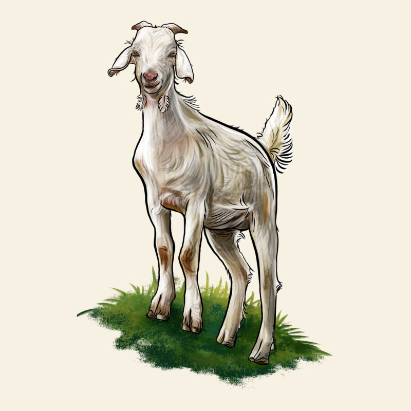 Kiko Goat Vintage Tee by LillyAllenDesigns | Teevron