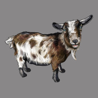 Nigerian Dwarf Goat Vintage Tee | Teevron