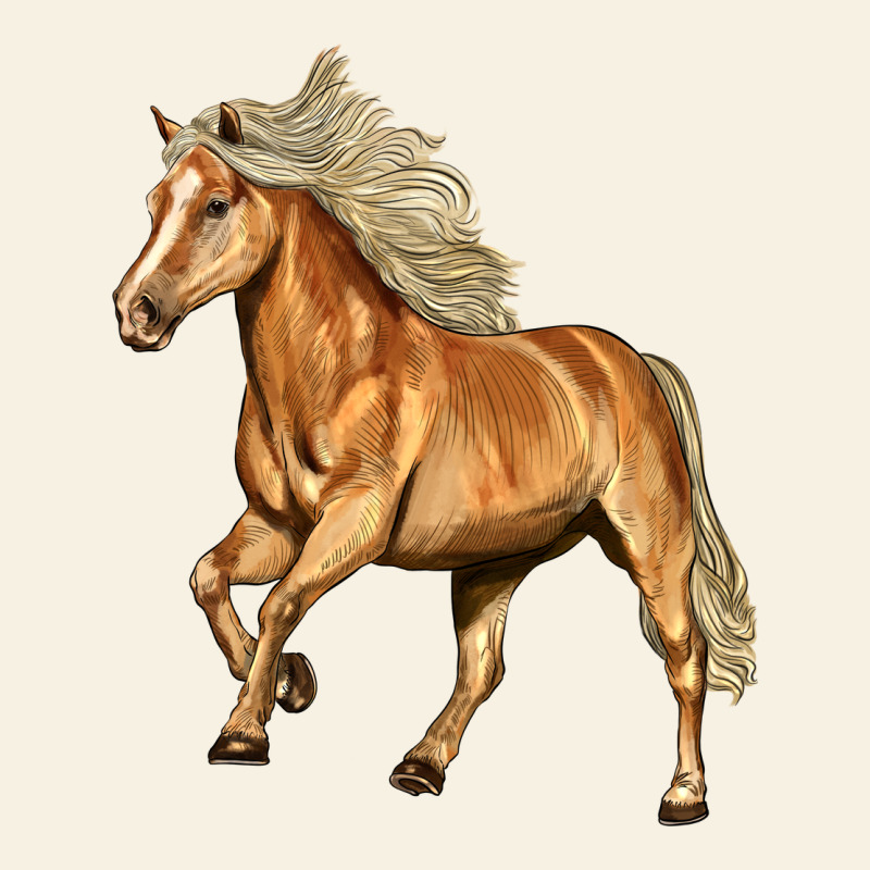 Haflinger Horse Vintage Tee by LillyAllenDesigns | Teevron