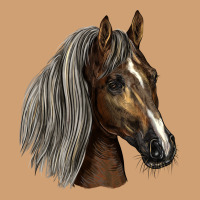 Tennessee Horse Vintage Tee | Teevron