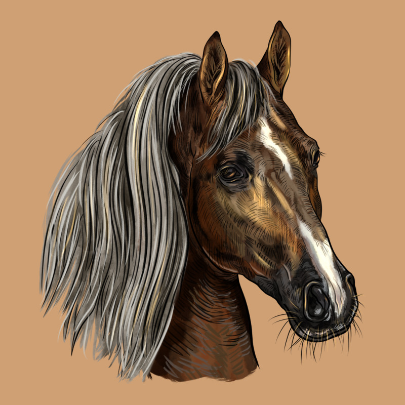 Tennessee Horse Vintage Tee by LillyAllenDesigns | Teevron