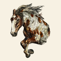 Mustang Horse Vintage Tee | Teevron