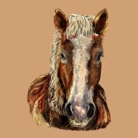 Belgian Horse Vintage Tee | Teevron