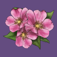 Wild Prairie Rose Illustrations Vintage Hoodie | Teevron