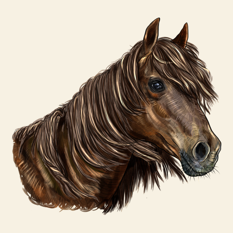 Missouri Horse Vintage Tee by LillyAllenDesigns | Teevron
