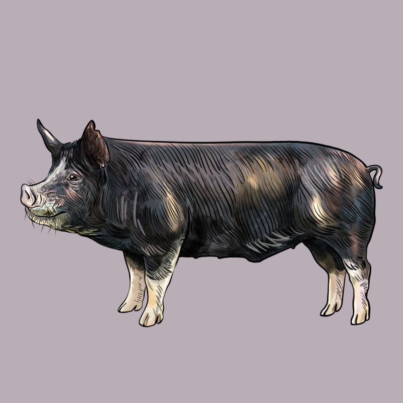 Berkshire Pig Vintage Tee by LillyAllenDesigns | Teevron
