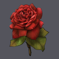 Oklahoma Rose Illustrations Vintage Hoodie | Teevron