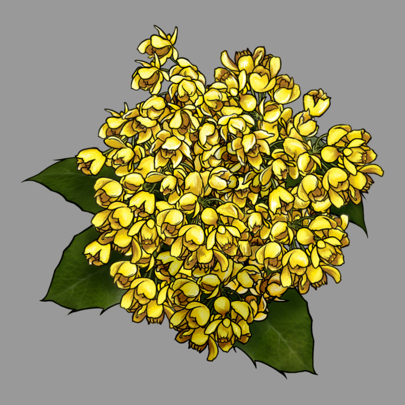 Oregon Grape Flower Illustrations Vintage Hoodie by LillyAllenDesigns | Teevron